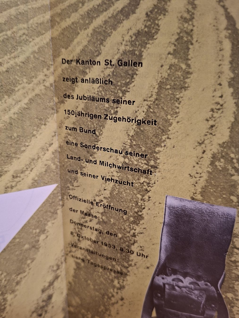 Documenti: Olma Proschüre 1953 – Usato da Ganterschwil venduto da HeidiuPeter 3
