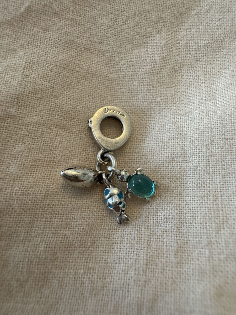 Pandora Anhänger: Pandor Charm - Meer – Gebraucht aus Bözberg von eli_rz6q