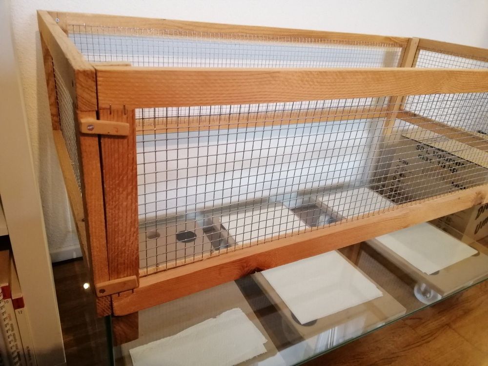 CANIPHA Springspinnen Futtertablett - Acryl Futternapf Für Terrarium