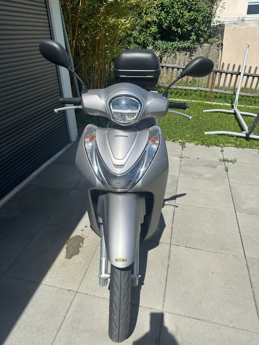 Scooters: Honda SH 125 – Gebraucht aus Boudry von fac_5fjq 1