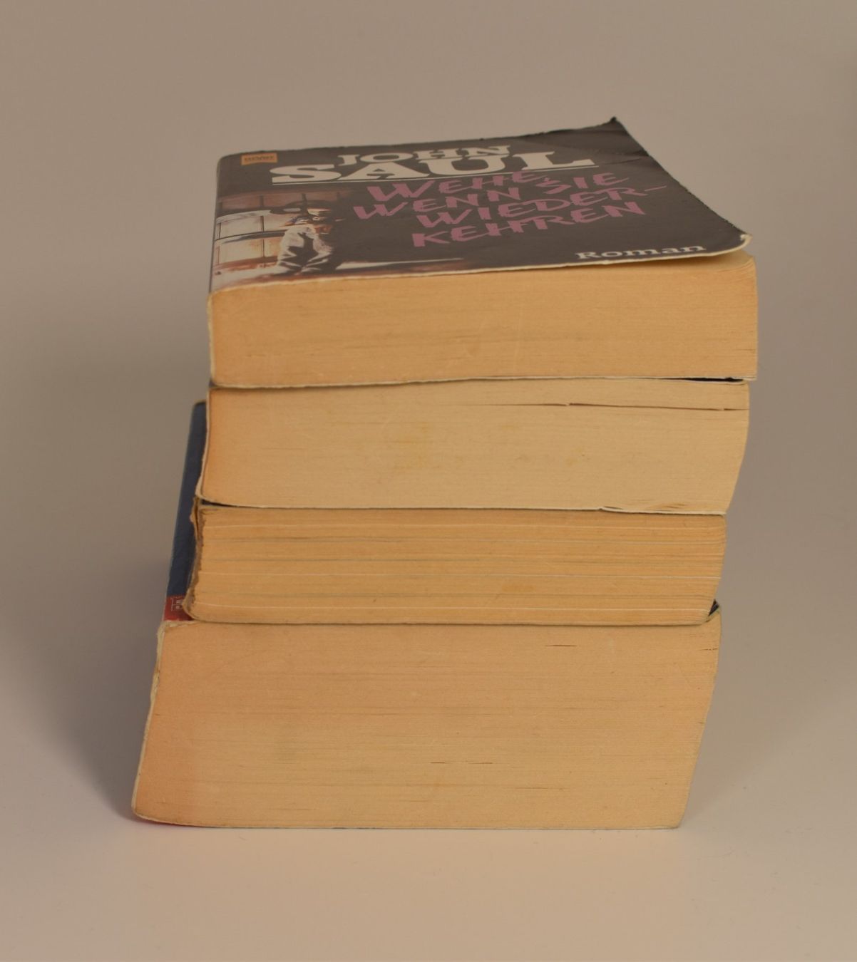 Libri: Thriller / Horror Bücher-Set 4 Bände – Usato da Azmoos venduto da greenstone13 2