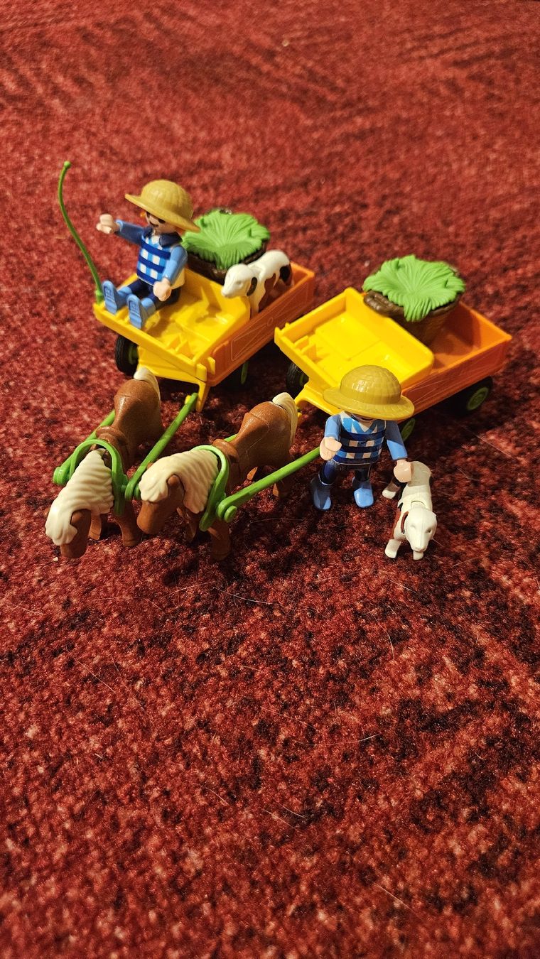 Playmobil Giocattoli: Playmobil Ponykutsche 3118 – Usato da Rudolfstetten venduto da Hoppel17
