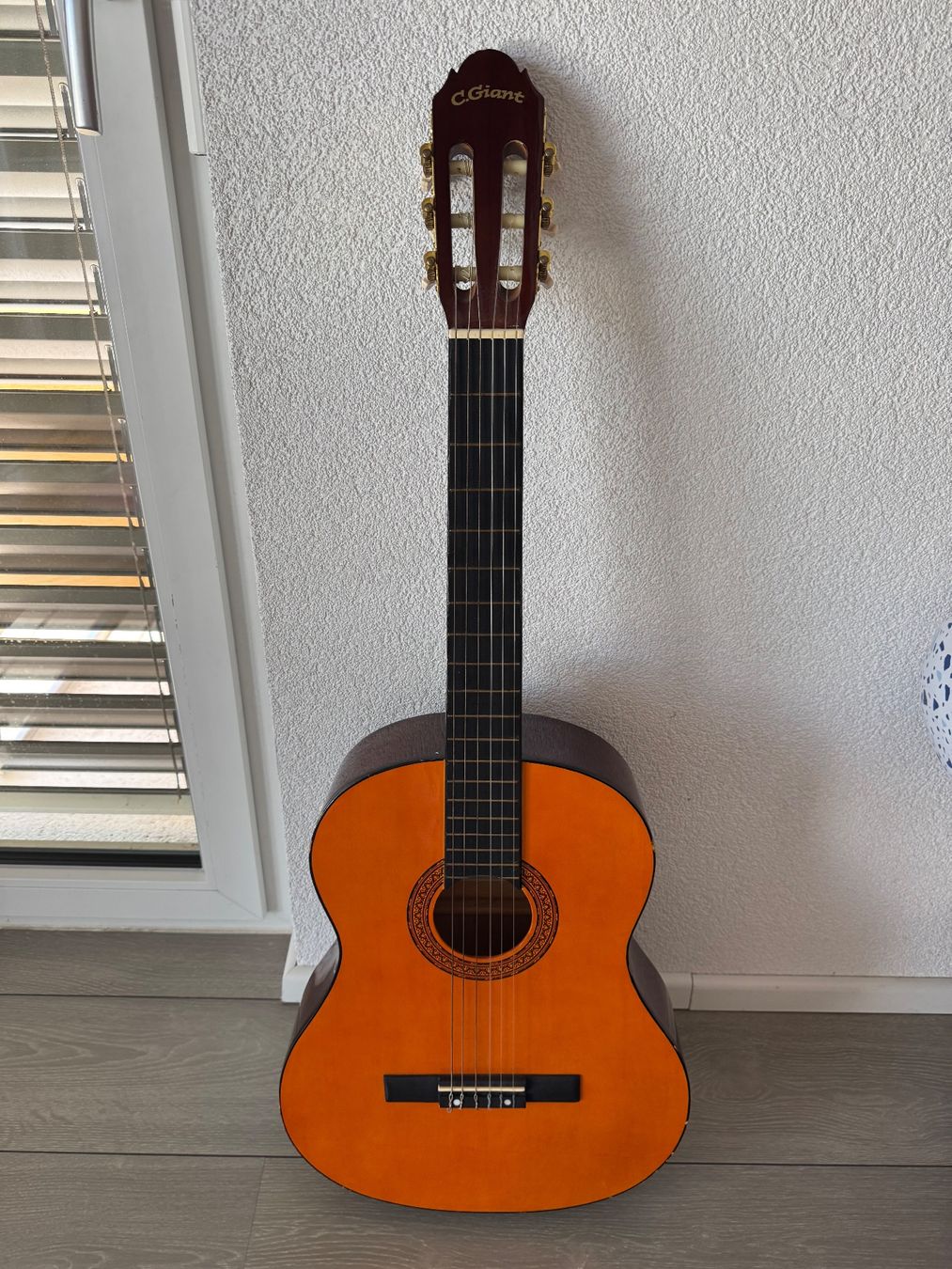 Strumenti musicali: Konzertgitarre C.Giant – Usato da Wigoltingen venduto da s.xnaa_