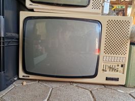 alter Farb Röhren TV