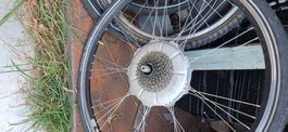 Bion x 28" Naben Motor 25km/h 250w