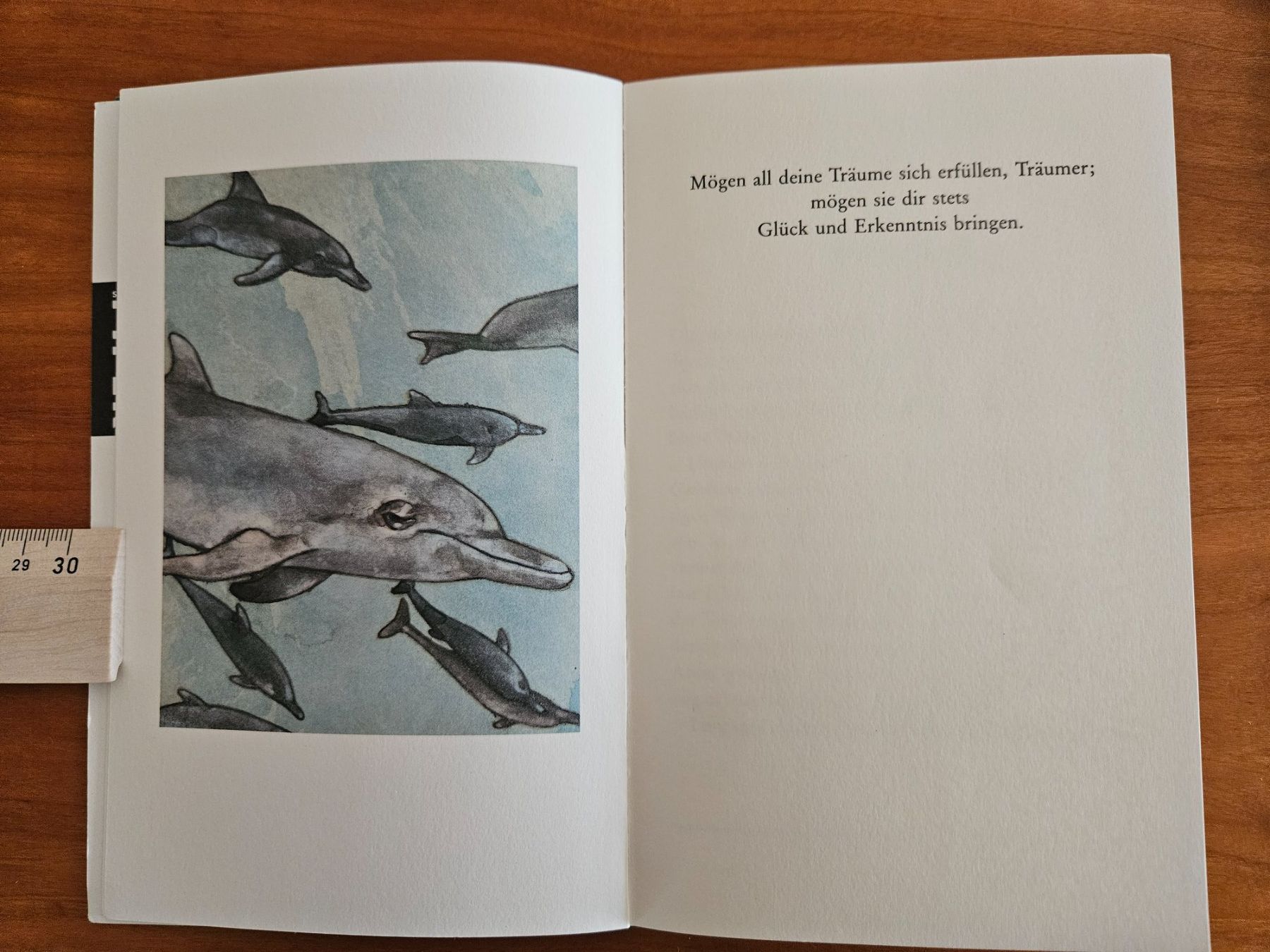 Libri: Sergio Bambaren: Der träumende Delphin – Usato da Ittigen venduto da Myriamstr 2