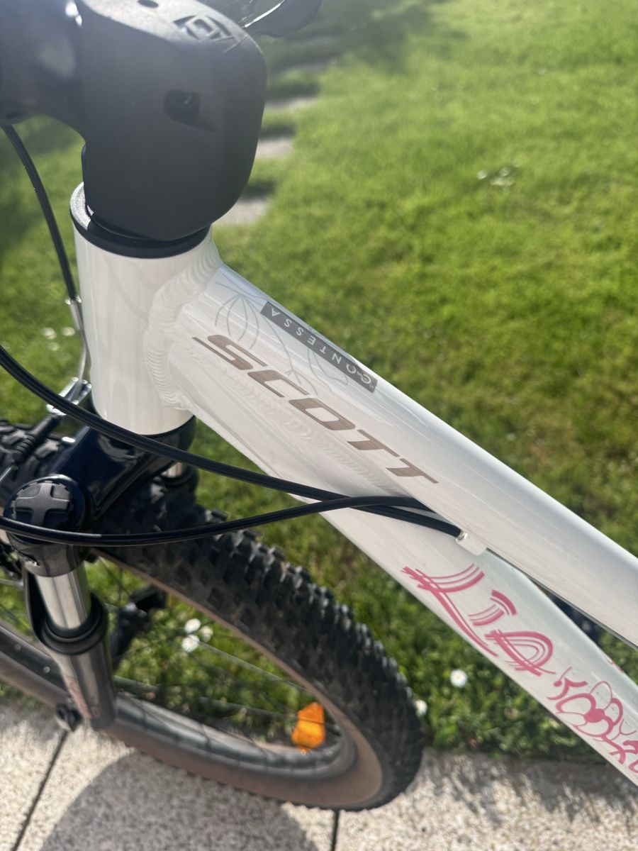 Scott Vélos: SCOTT Contessa 24“ Junior – D'occasion à Zürich par SAMSD 2
