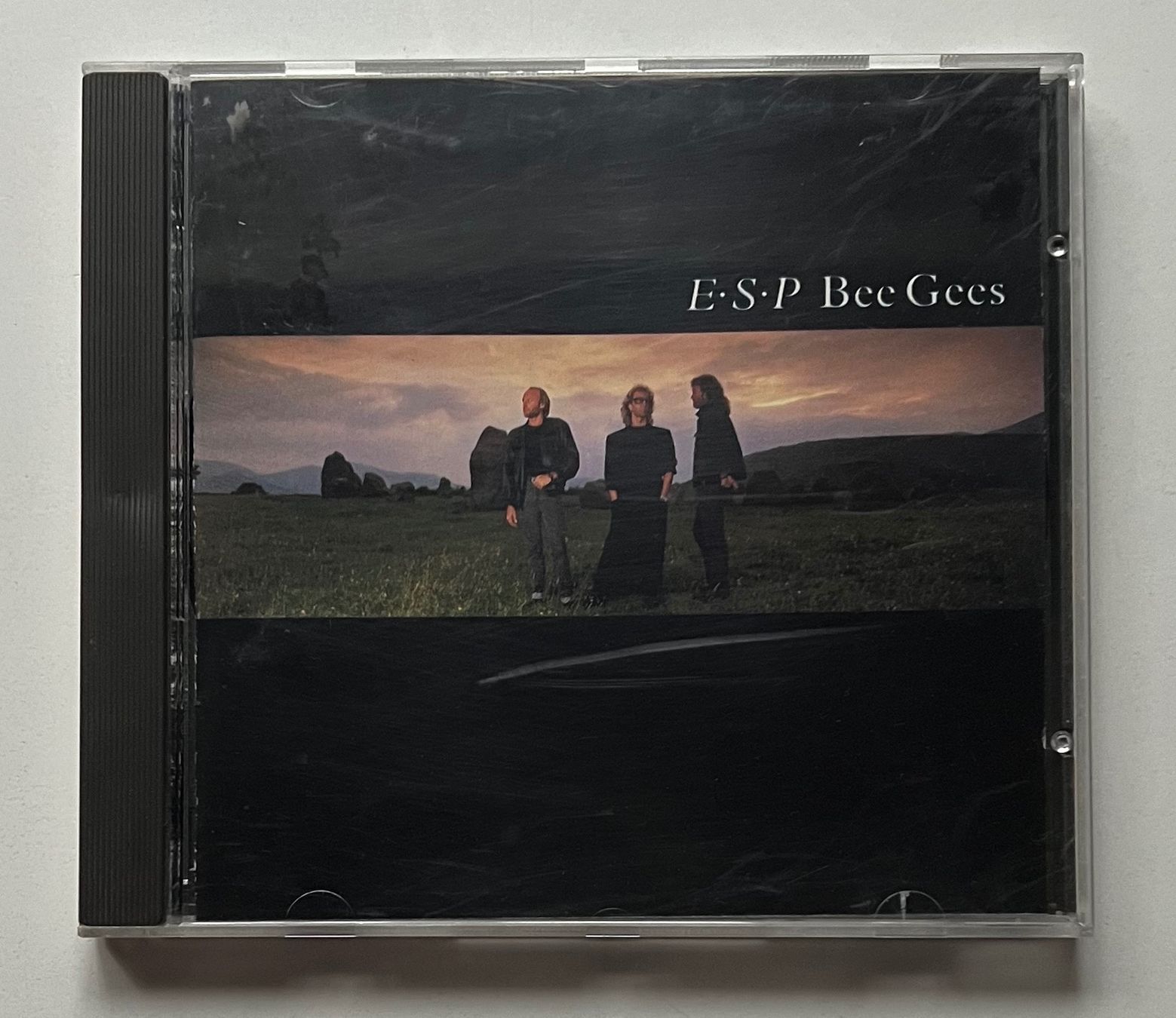 CDs: Bee Gees / E.S.P. – D'occasion à Näfels par rottabi