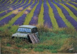 RENAULT 4L - Camouflage