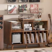 Plattenständer mit Vinyl Aufbewahrung für 450 Alben