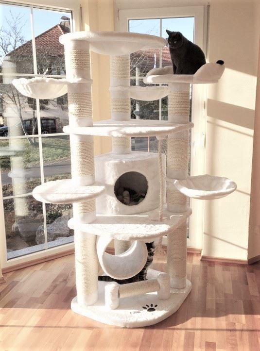 Tiragraffi: KATZENBAUM Noblesse, weiss – Nuovo e nell'imballaggio originale da Eschenbach LU venduto da PETHOMES_AG 2