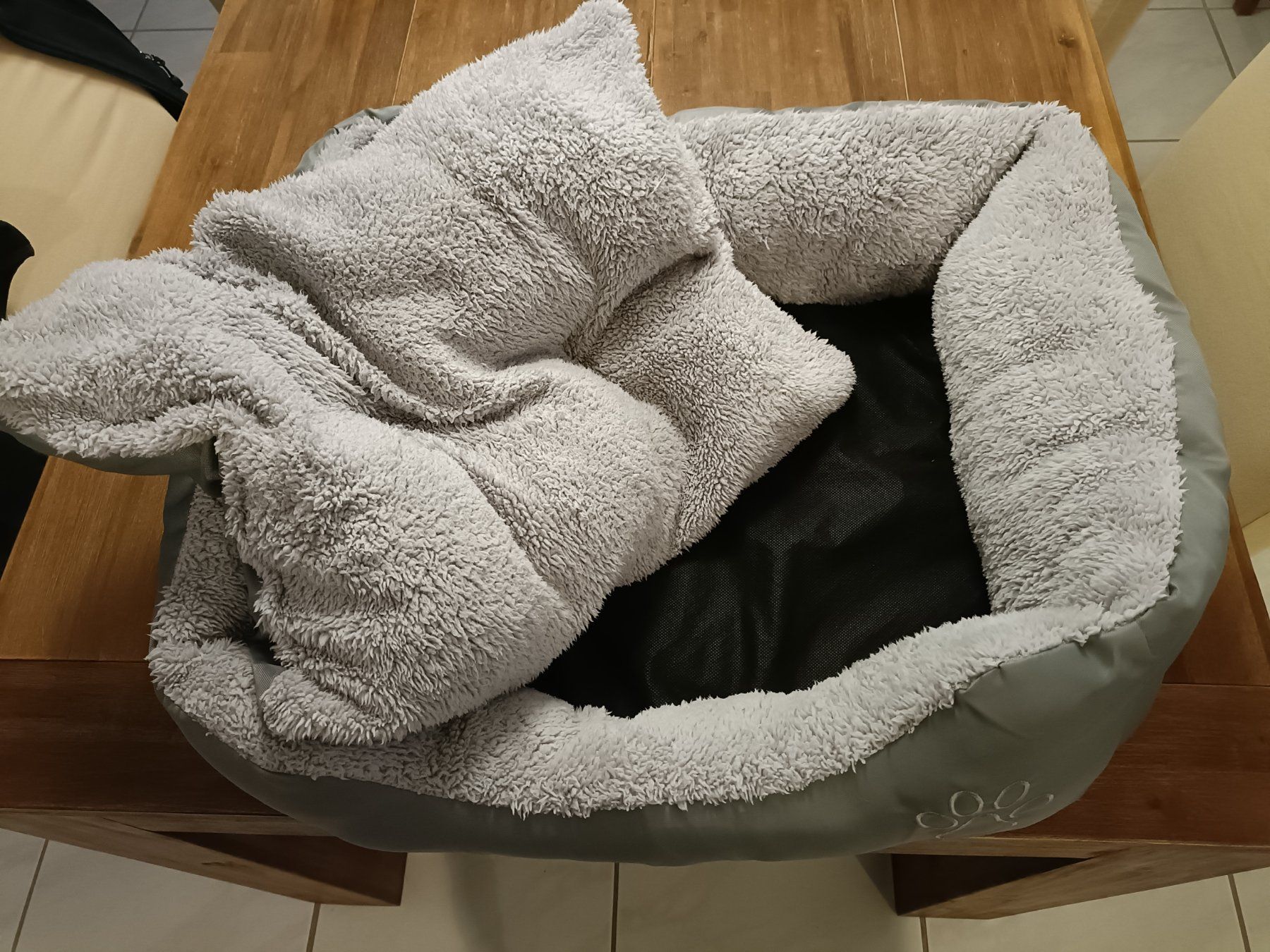 Cucce & Letti: Hundebett Grau ca. 60x55 – Usato da Niederwil AG venduto da Eksternenberg 1