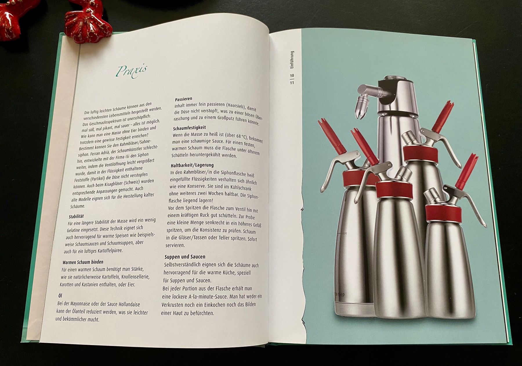 Libri: ESPUMAS / Schäume & Mousses – Usato da Nussbaumen AG venduto da schuba2000 2