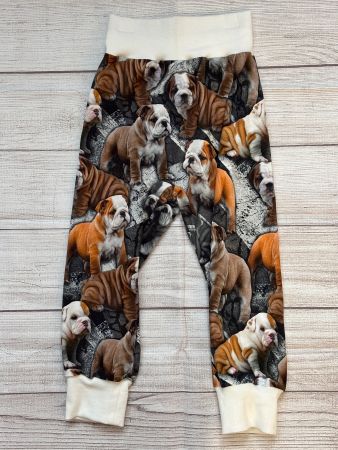Pumphose Mitwachshose Bulldogge Gr. 98/104 Neu