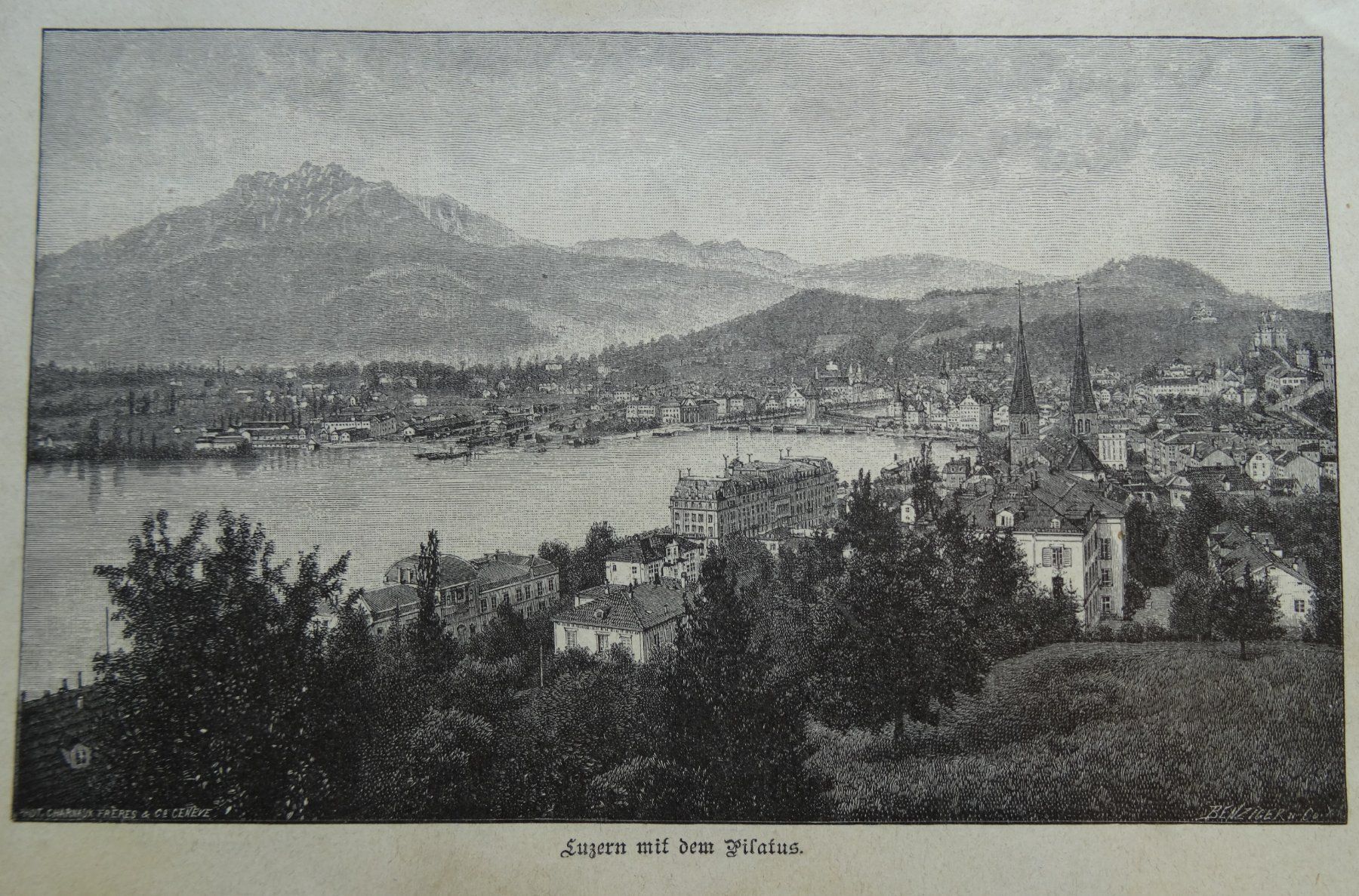 Ansichtskarten: Luzern Xylographie von 1907 – Gebraucht aus Safnern von Wstussi