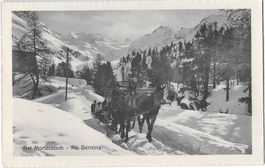 Bei Morteratsch Piz Bernina Schneekutsche