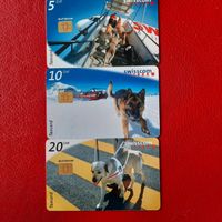 3 Taxcards "Assistenzhunde" 5/10/20