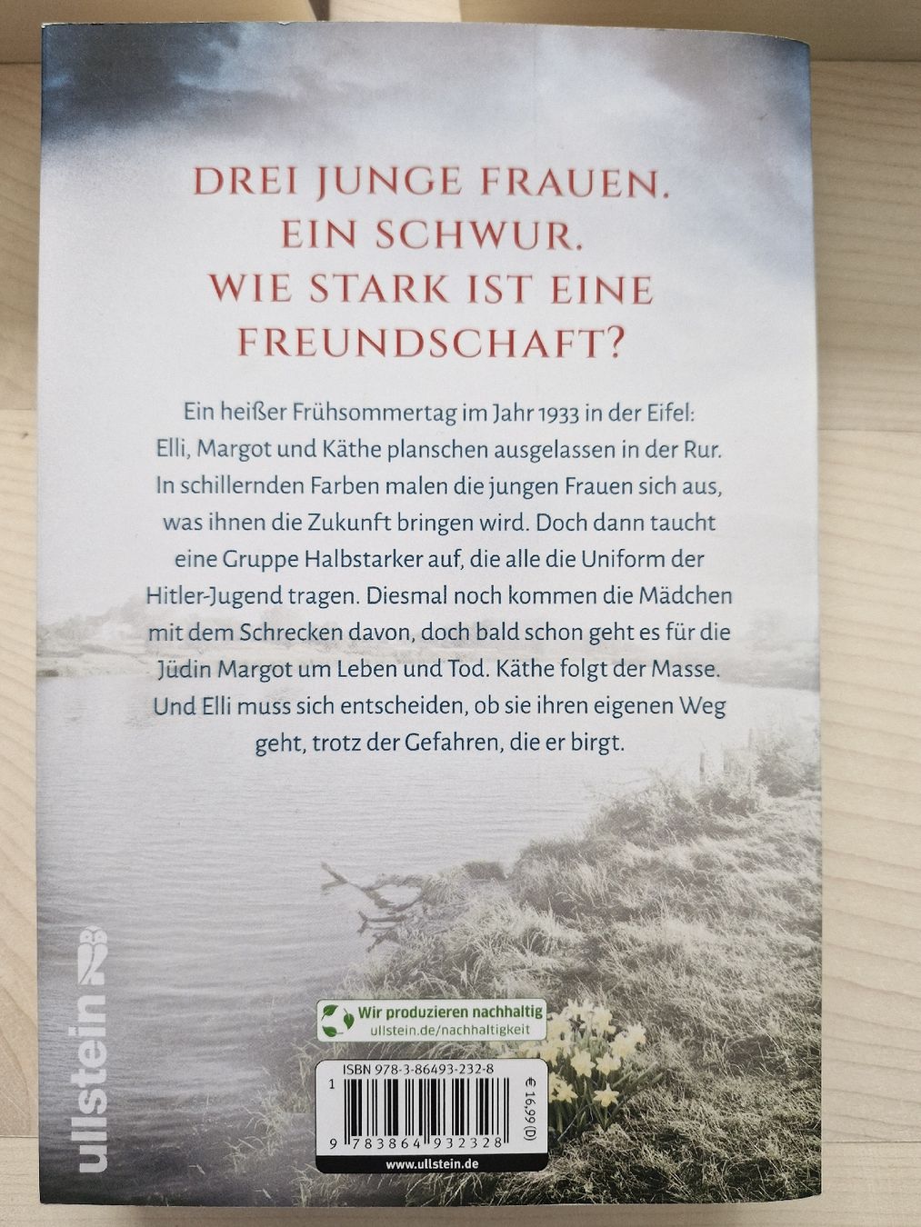 Libri: Lilly Bernstein Romane ,Top , Trümmer,Findel & Sturm Mädchen – Usato da Frauenfeld venduto da Kasico 6