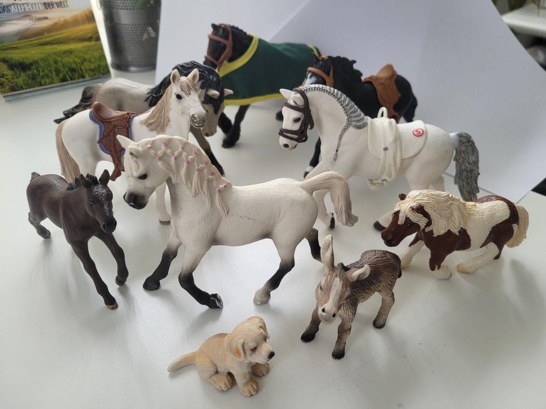 Schleich Statuette: Schleichtiere 10 Stück – Usato da ennenda venduto da popcorn007