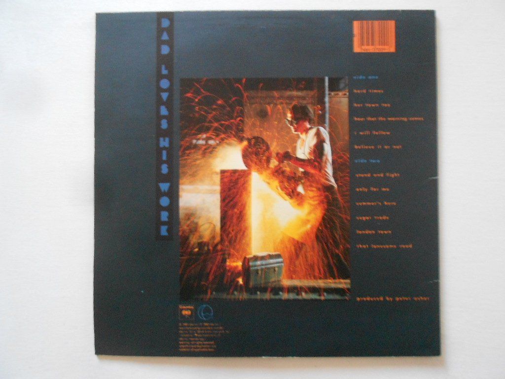 Dischi in vinile: JAMES TAYLOR  -  DAD LOVES HIS WORK – Usato da Bex venduto da Giorgiob 1