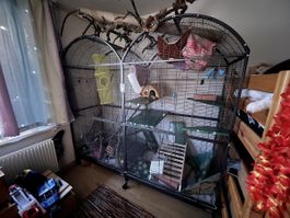 XXL Nagerkäfig / Vogelvoliere mit viel Zubehör
