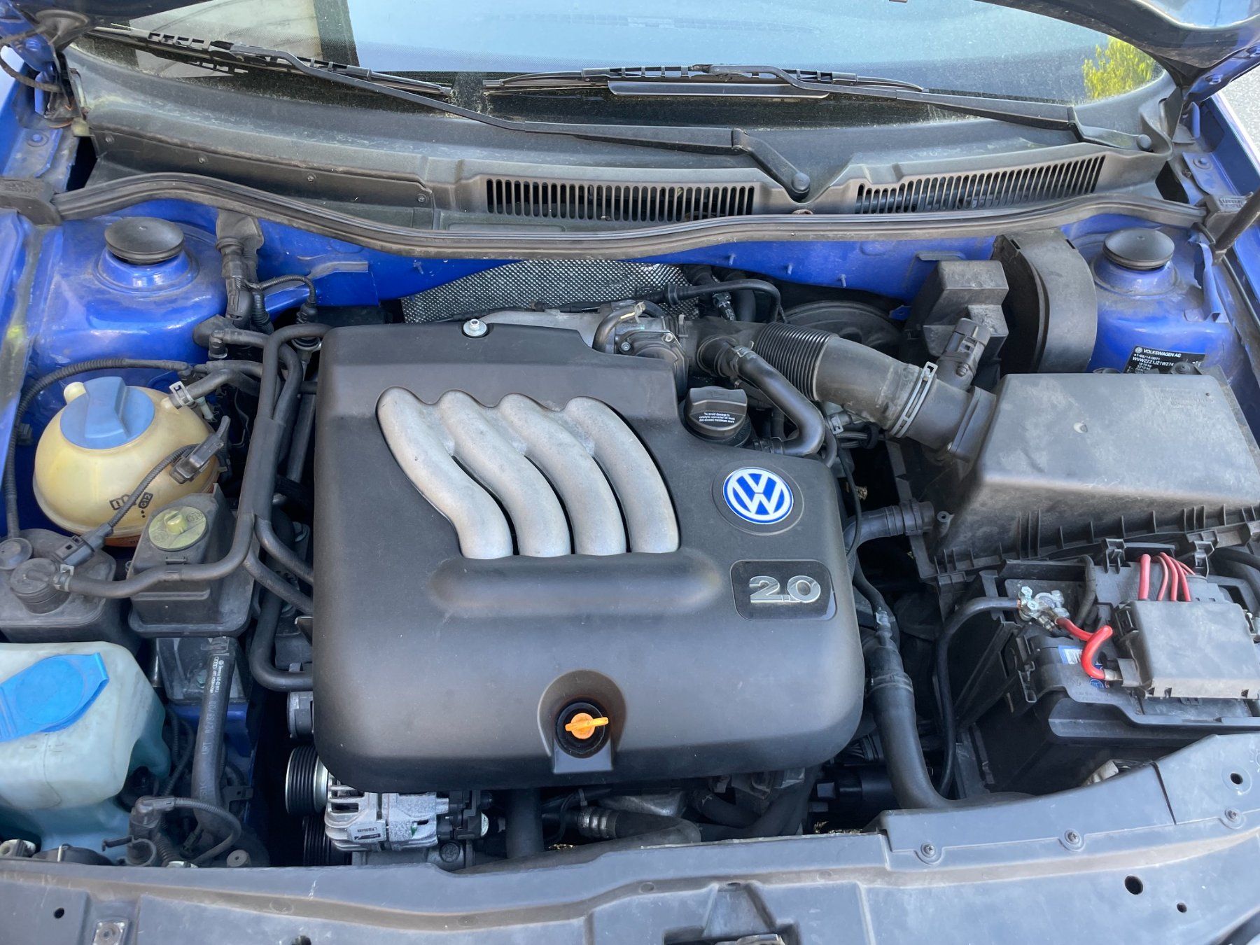 VW Automobili: VW Golf – Usato da Wegenstetten venduto da autodienstleistungen 6