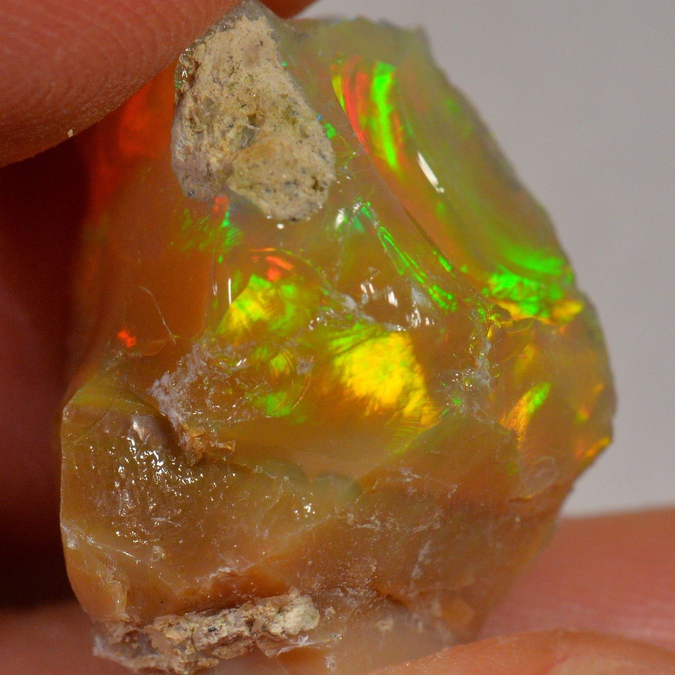 Pierres précieuses: 17.8 Karat - Roher Äthiopischer Welo Opal – Neuf (Voir description) à Rüti ZH par DeinOpal 2