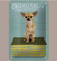 🔥 CHIHUAHUA Hunde Blechschild 🎀 12x18cm OVP 🔥