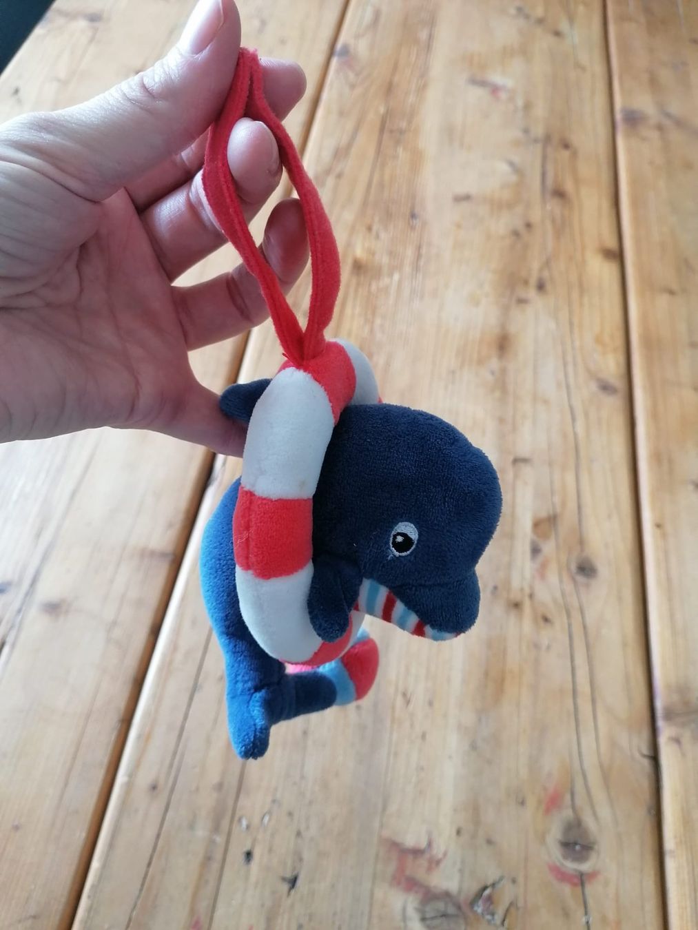 Rimorchi: Kinderwagenanhänger "Delfin" – Usato da Zürich venduto da ram_59n8