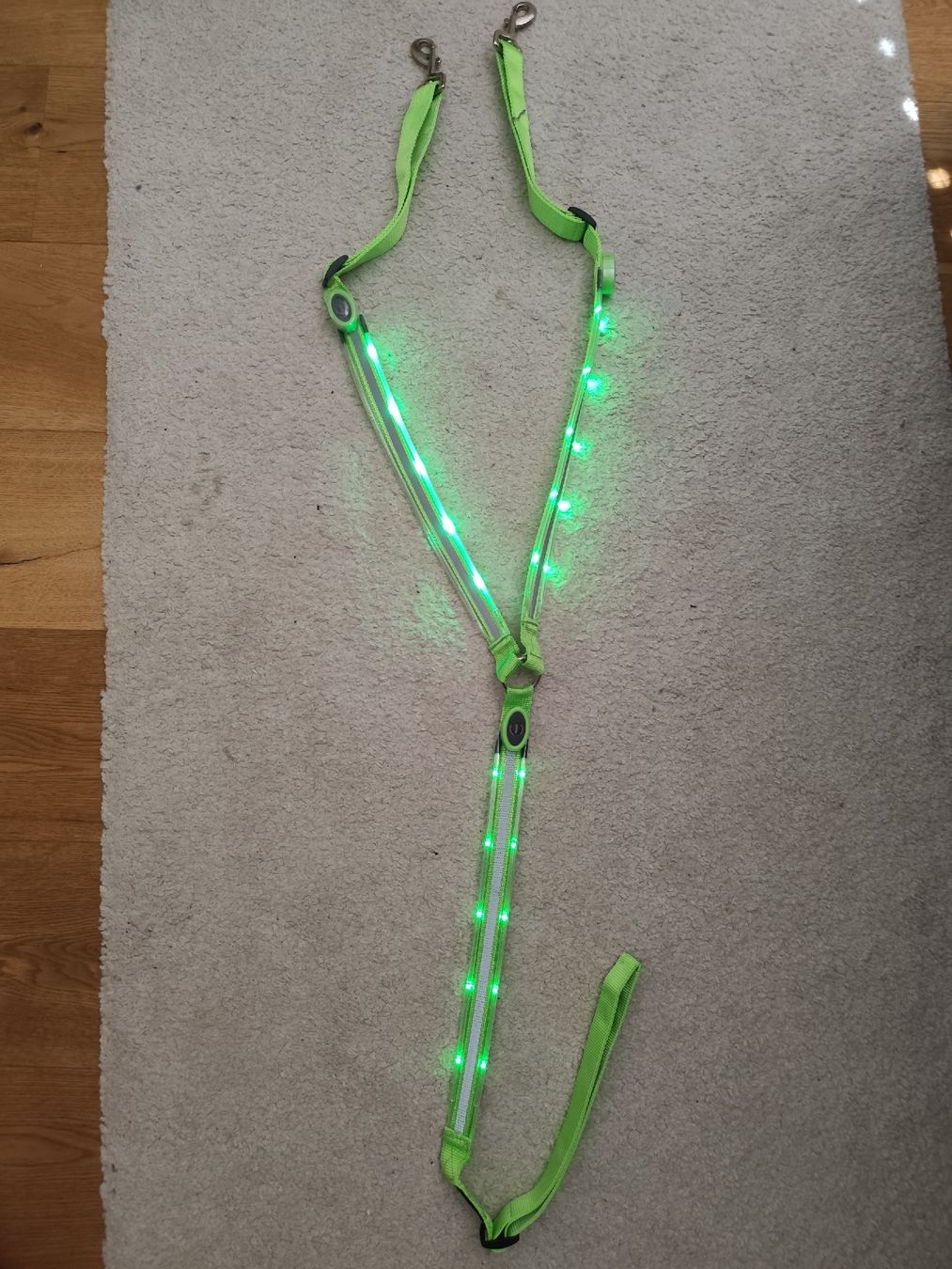 Brides, licols: NEUES LED Vorgeschirr  – Défectueux à Kerzers par sb_12
