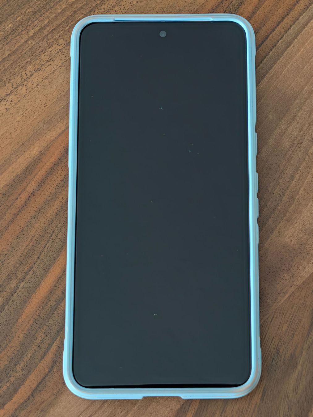 Google Telefoni cellulari / Smartphones: Google Pixel 8 Pro 256GB | Top Kamera | Blue – Usato da Schwyz venduto da Zanetti44 1