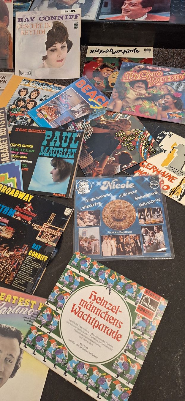 Schallplatten: Schallplatten Sammlung - Diverse Interpreten - Vinyl LP's🎯 – Gebraucht aus Emmenbrücke von abu_9mj8 7