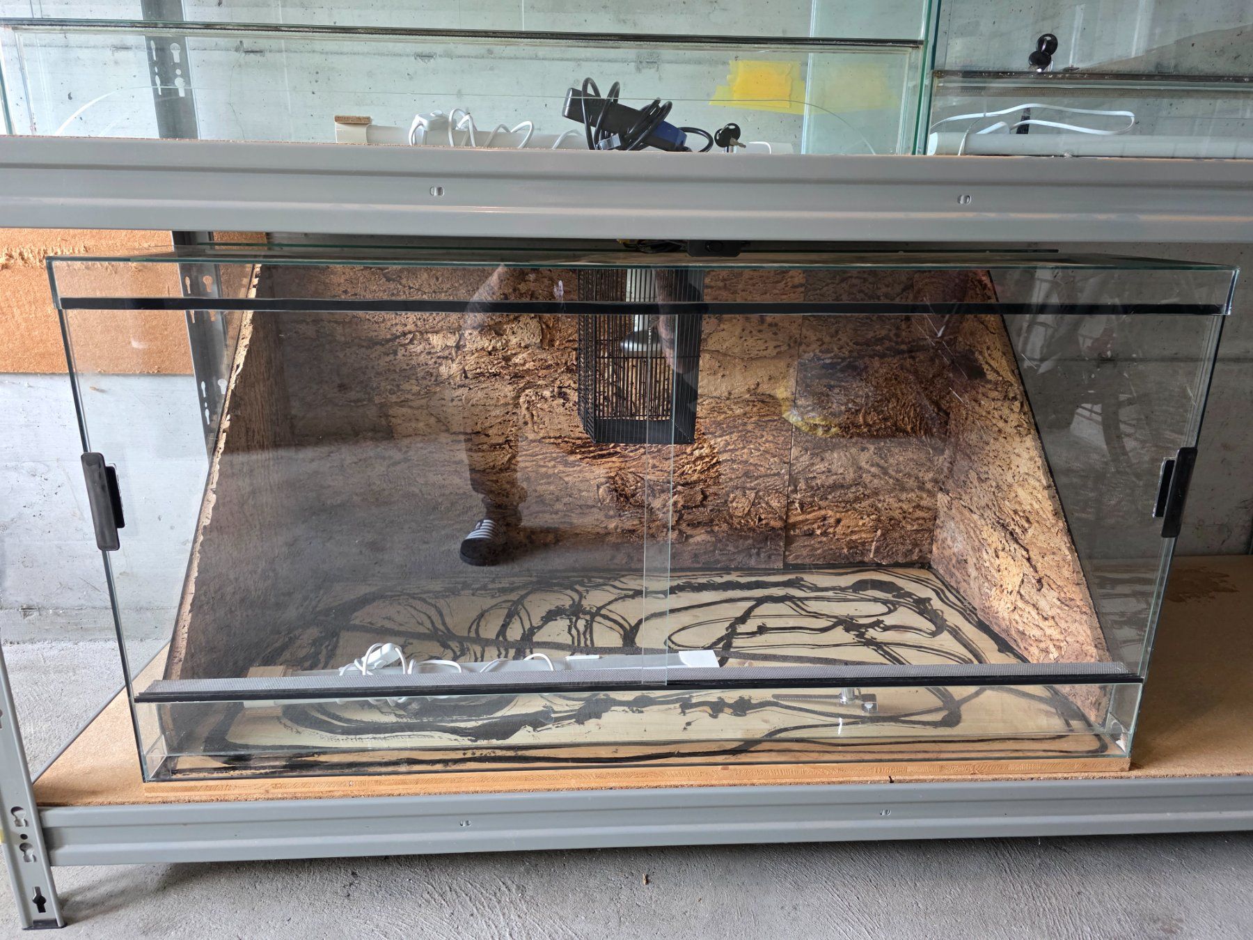 Terrario: Glasterrarium 120x60x60 – Usato da St. Margrethen SG venduto da mel.95
