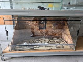 Glasterrarium 120x60x60
