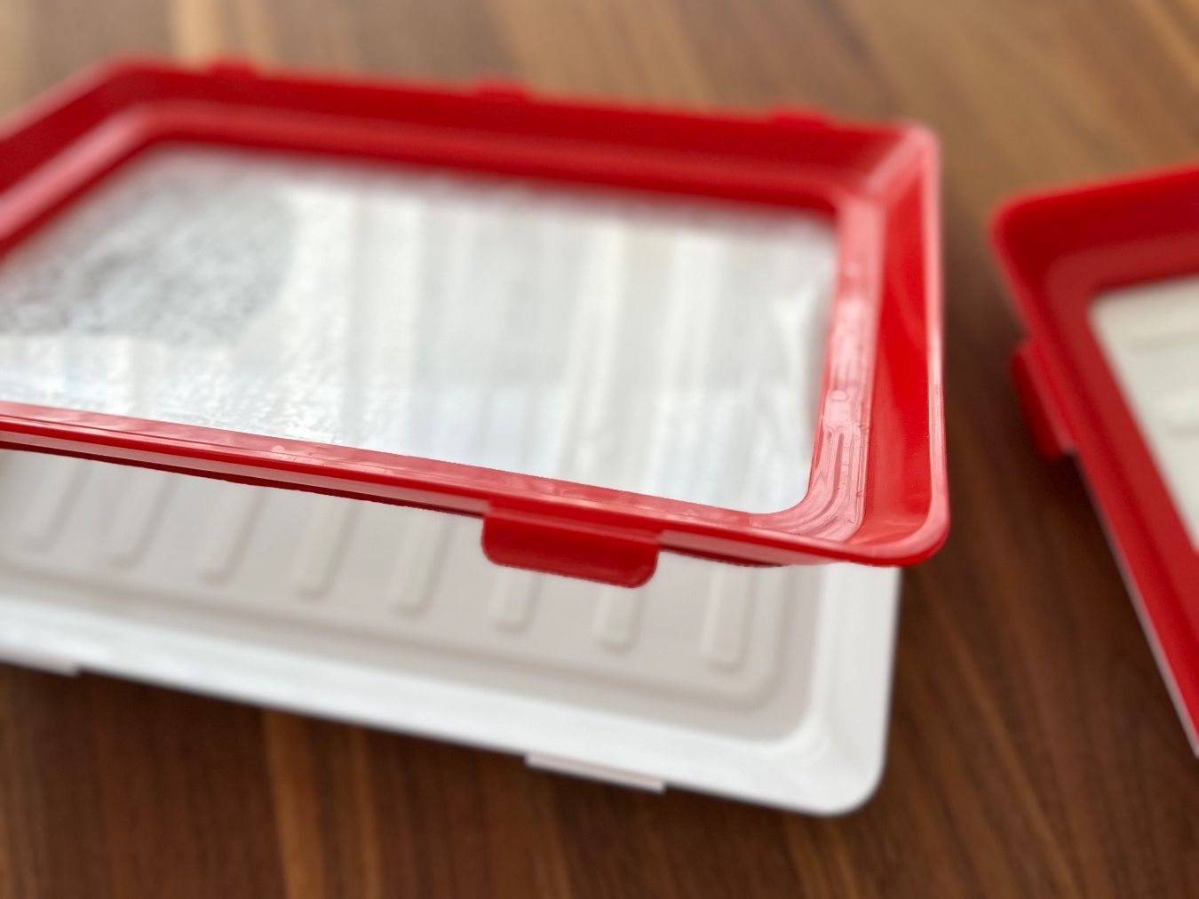 Contenitori & Simili: Frischhaltesystem - Clever Tray - 2 Stk. – Usato da Märstetten venduto da fab_wf2v 1