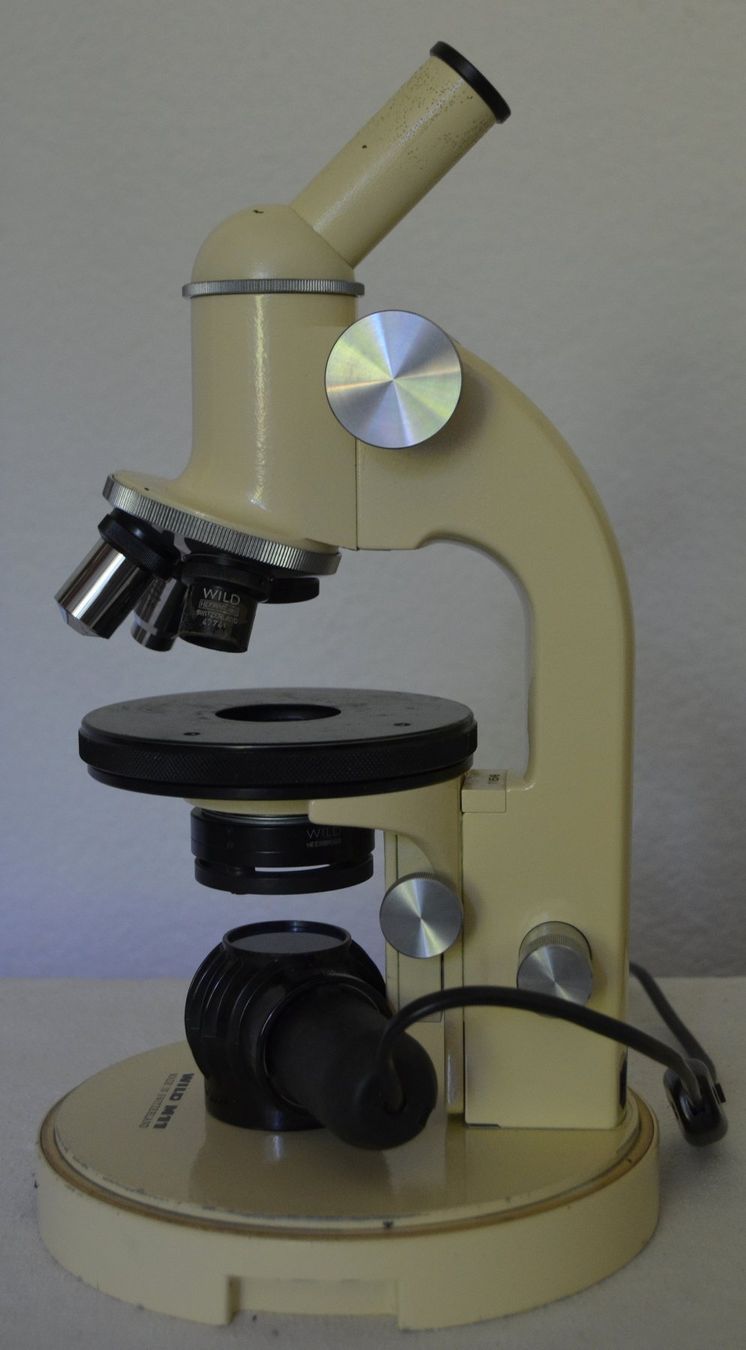 Wild Microscopi: Wild Heerbrugg M11 Mikroskop  / microscope – Usato da Collonges venduto da arashee 6