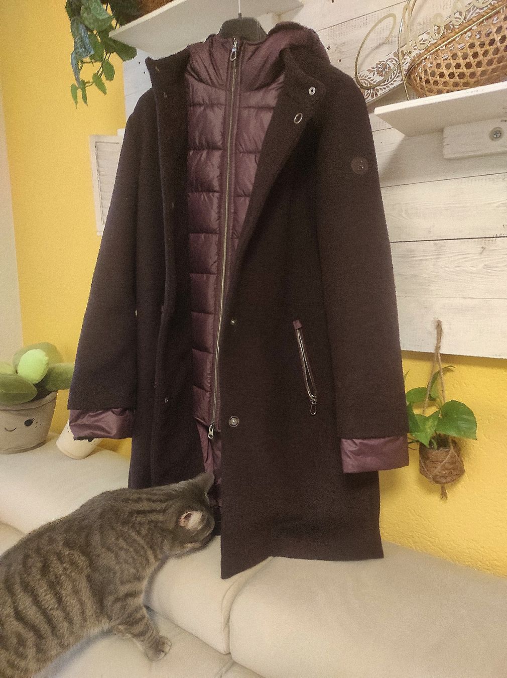 Bonita Cappotti: Jacke / Übergangsjacke , Gr. M, 30% Wolle – Nuovo (secondo la descrizione) da Arni AG venduto da Rosen11 1