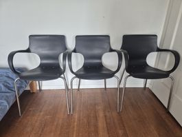 SOFIA Schalenstühle Design