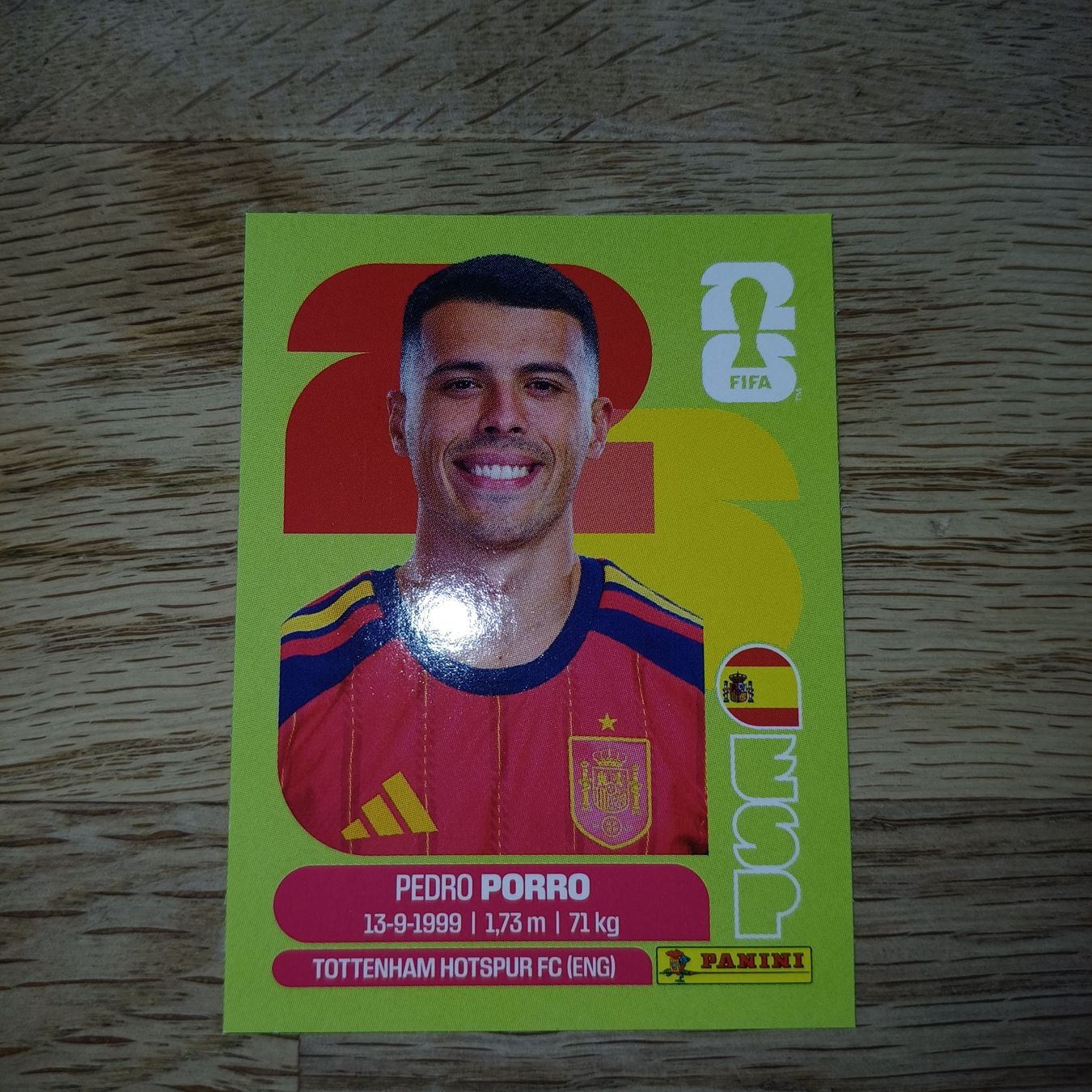 Panini Carte collezionabili: Panini – Usato da Aedermannsdorf venduto da holzkaefer