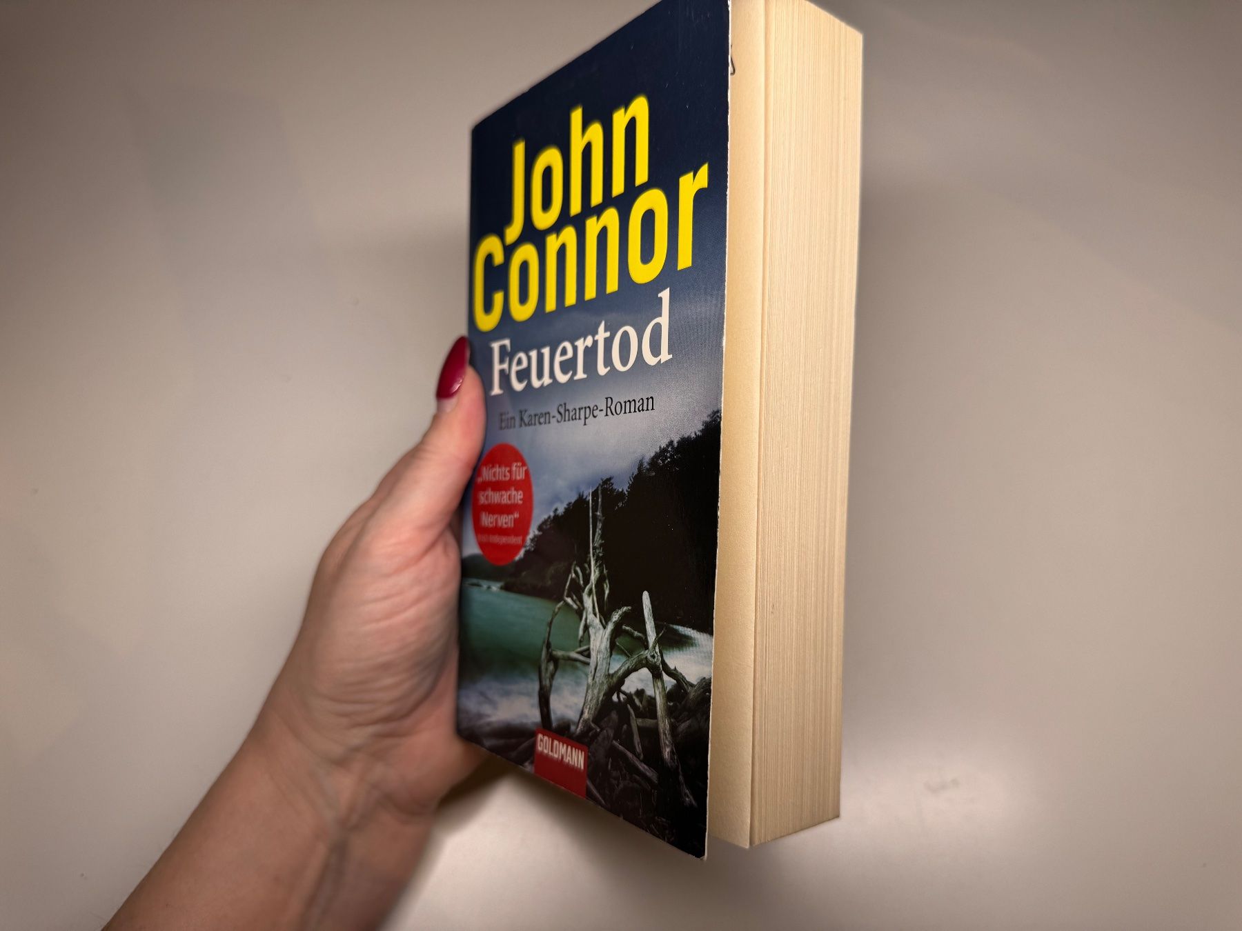 Bücher: ROMAN: John Connor, Feuertod – Gebraucht aus Grosswangen von Deutsche_Romane 1