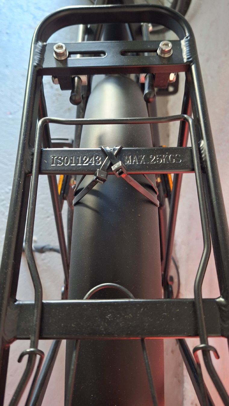 Trelago Biciclette: TRELAGO Speedster II 45kmh – Usato da Gommiswald venduto da jue_2z52 3