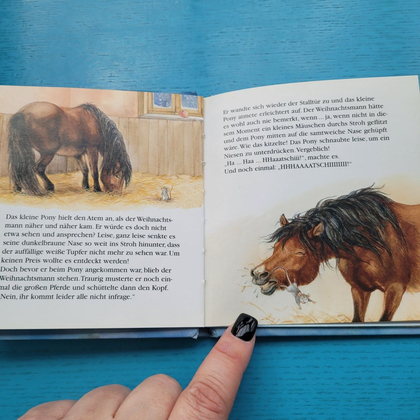 Libri: Das Weihnachtspony - Kai Haferkamp – Usato da SCHÜBELBACH venduto da CoKaHa 3