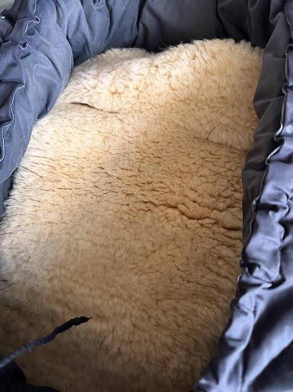 Sacchi a pelo: Lammy Fusssack Kinderwagen – Usato da St. Gallen venduto da cem_lgx5 1
