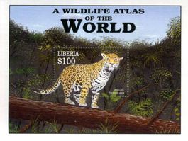 Block "Jaguar". Liberia