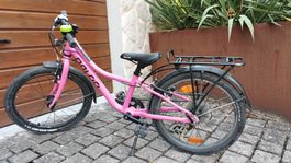 Kinderfahrrad Naloo Chameleon 20 Zoll pink