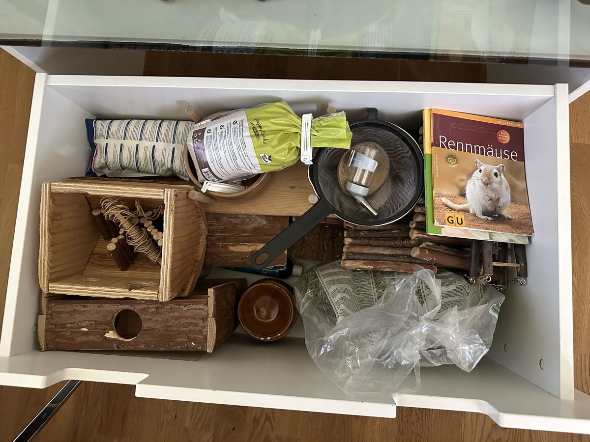 Gabbie, trasporto & Sicurezza: Terrarium / Mauskäfig / Mäusekäfig / Nager – Usato da Zürich venduto da Luoco 4