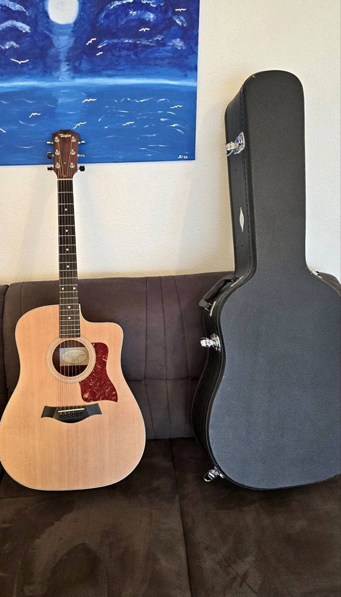 Taylor Instruments de musique: Taylor 210ce – Neuf (Voir description) à Bäretswil par Grayalox