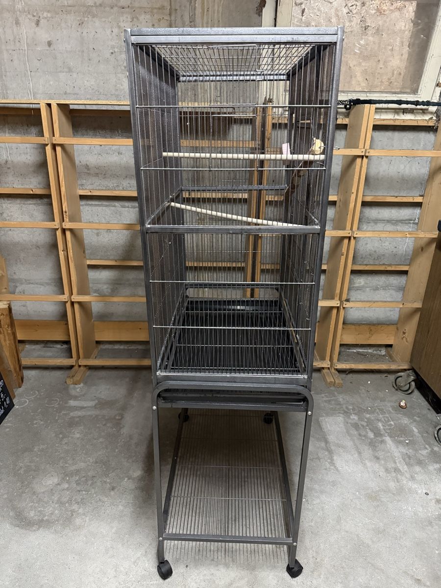 Gabbie, trasporto & Sicurezza: Grande cage pour oiseaux avec support sur roulettes, gris – Usato da Pully venduto da UCA01 2