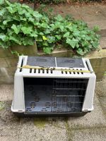 caisse de transport pour chien