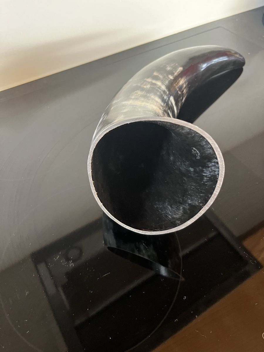 Tutte le decorazioni: Grosses Horn Deko 43cm – Nuovo (secondo la descrizione) da Saanen venduto da SoniaMichaela 1